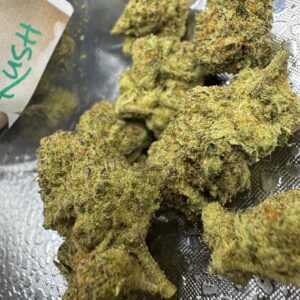 Critical Kush