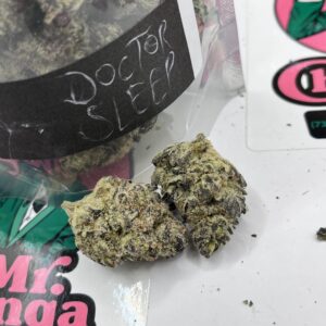 Dr Sleep