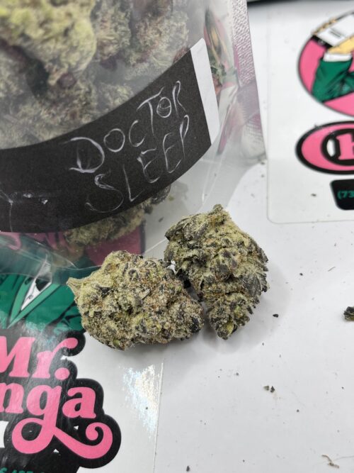 Dr Sleep
