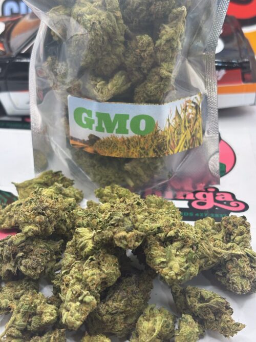 GMO