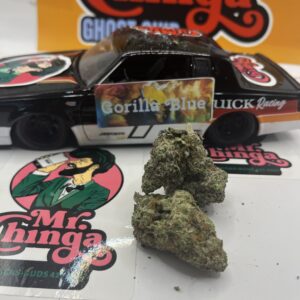 Gorilla Blue
