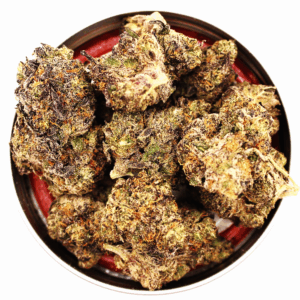 Gelato41 (A)
