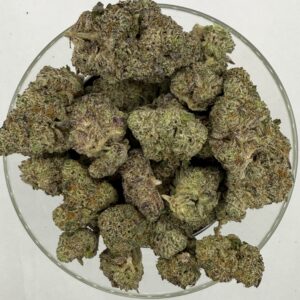 Gorilla Blue