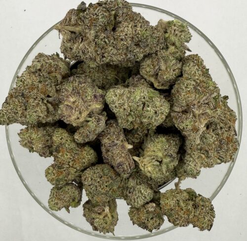 Gorilla Blue