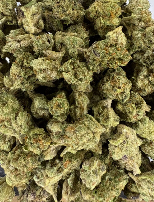 Biscotti Mintz (Small Buds)