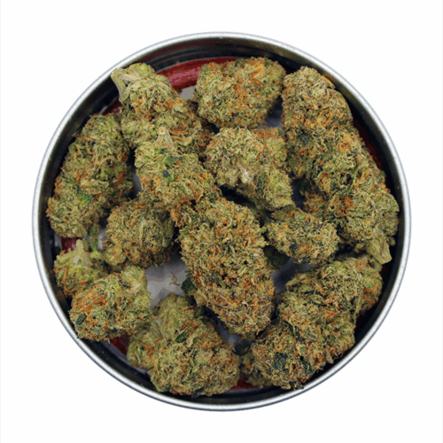 Kosher Kush Breath