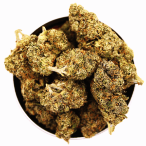 Gelato41 (C)