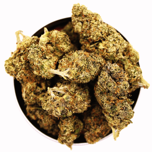 Gelato41 (C)