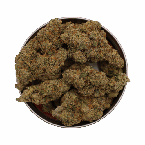 Diesel Punch