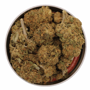 Lemon Cherry Gelato