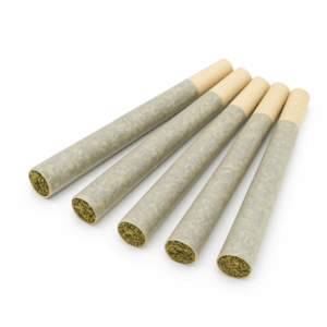 Premium 5-Pack Pre Rolls – Top-Shelf Strains