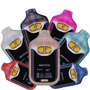 Boutiq Switch V4 Dual‑Strain Disposable (2g)