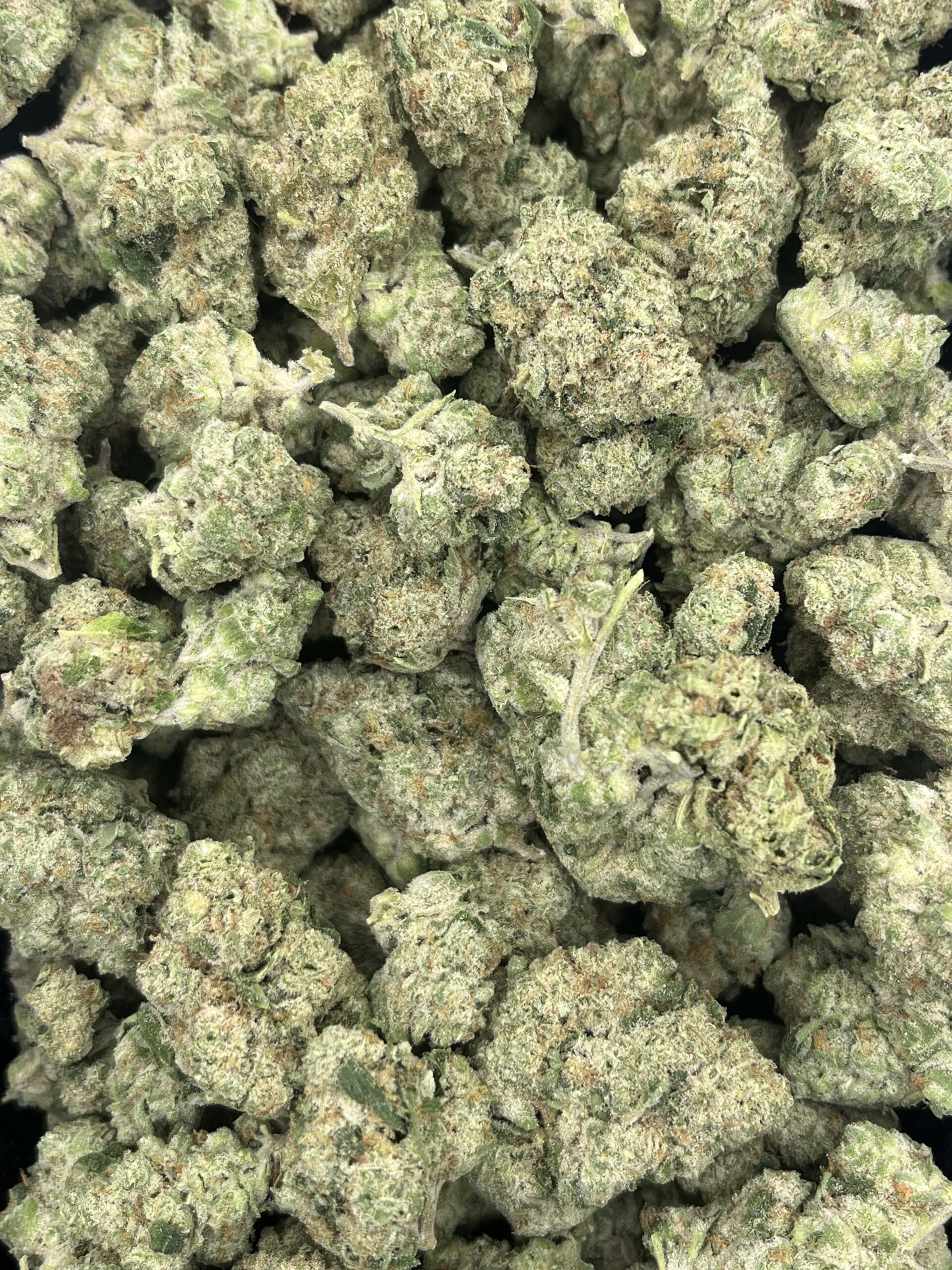 Lemon Cherry Sherbet