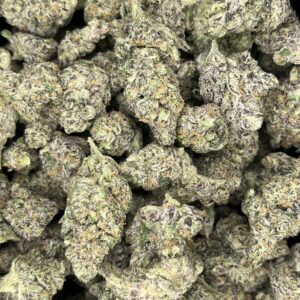 Tropic Diesel