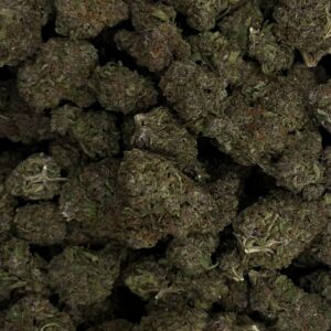 Purple Punch x Jäger