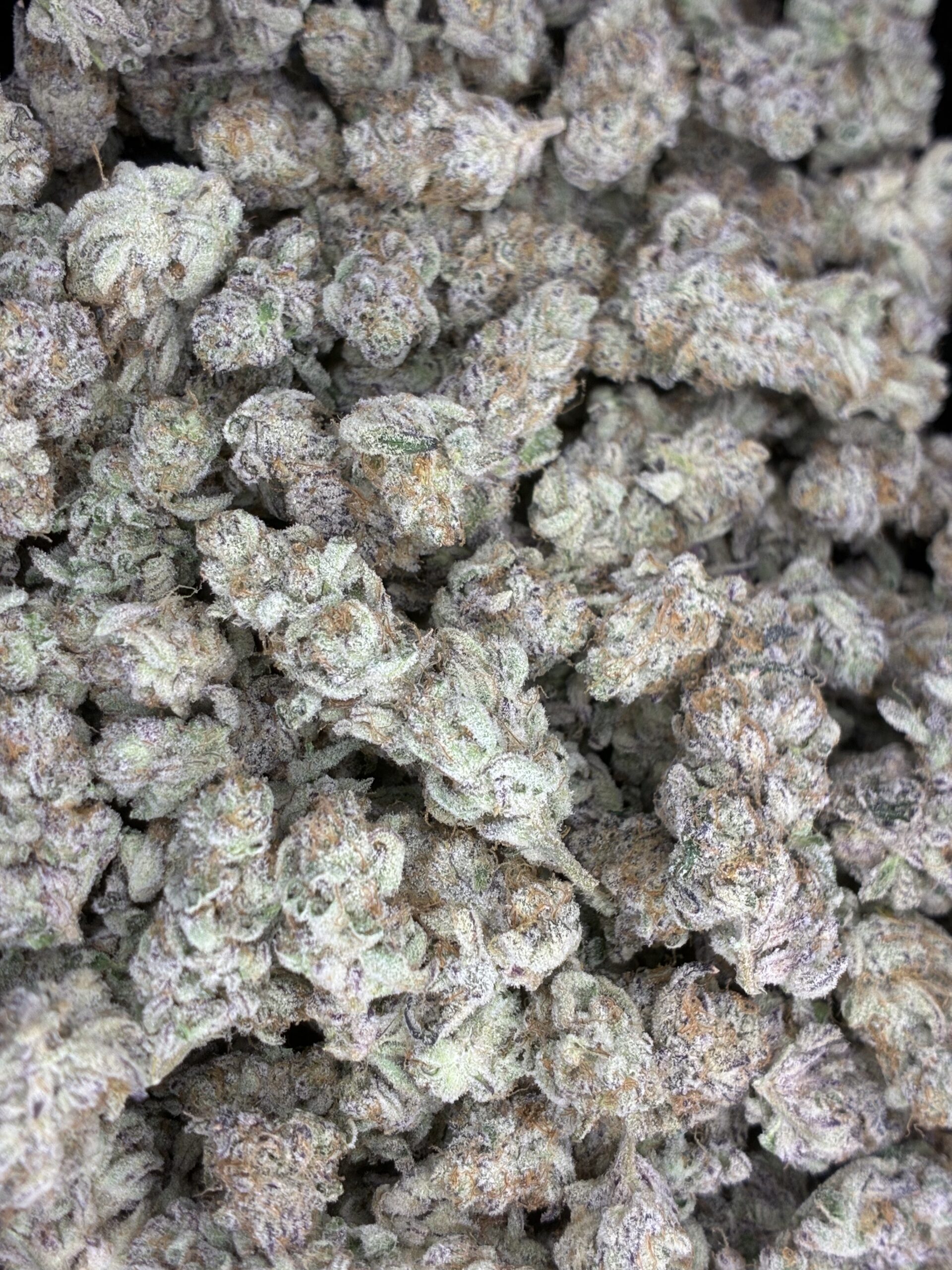 Red Headed Stranger