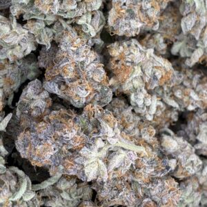 Orange Creamsicle