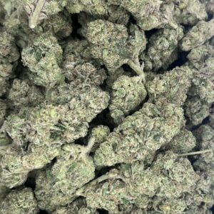 Han Solo Burger (Sativa)