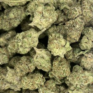 Gelonade (Sativa)
