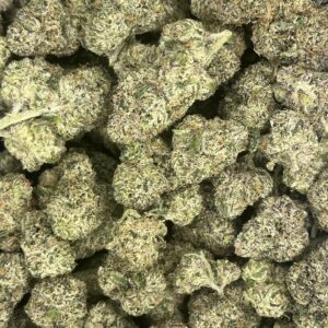 Bubble Gum Sherb