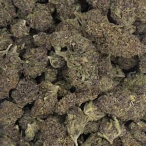 Blueberry Superboof