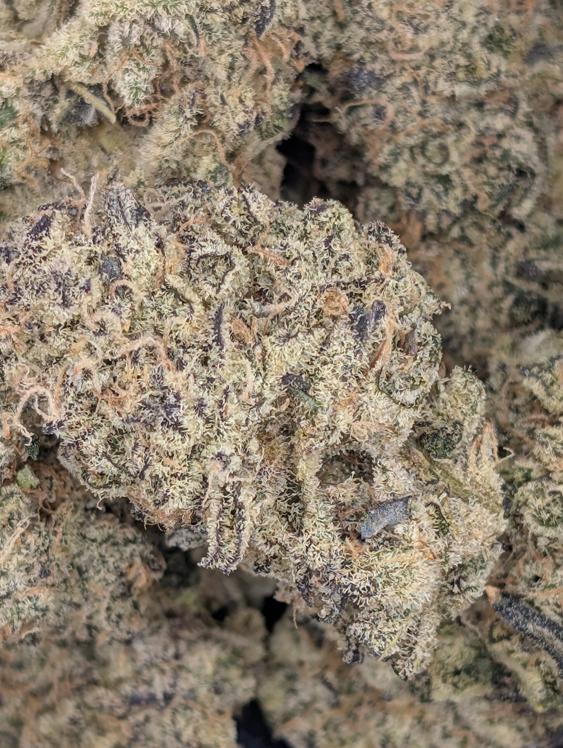 Bubble Yum