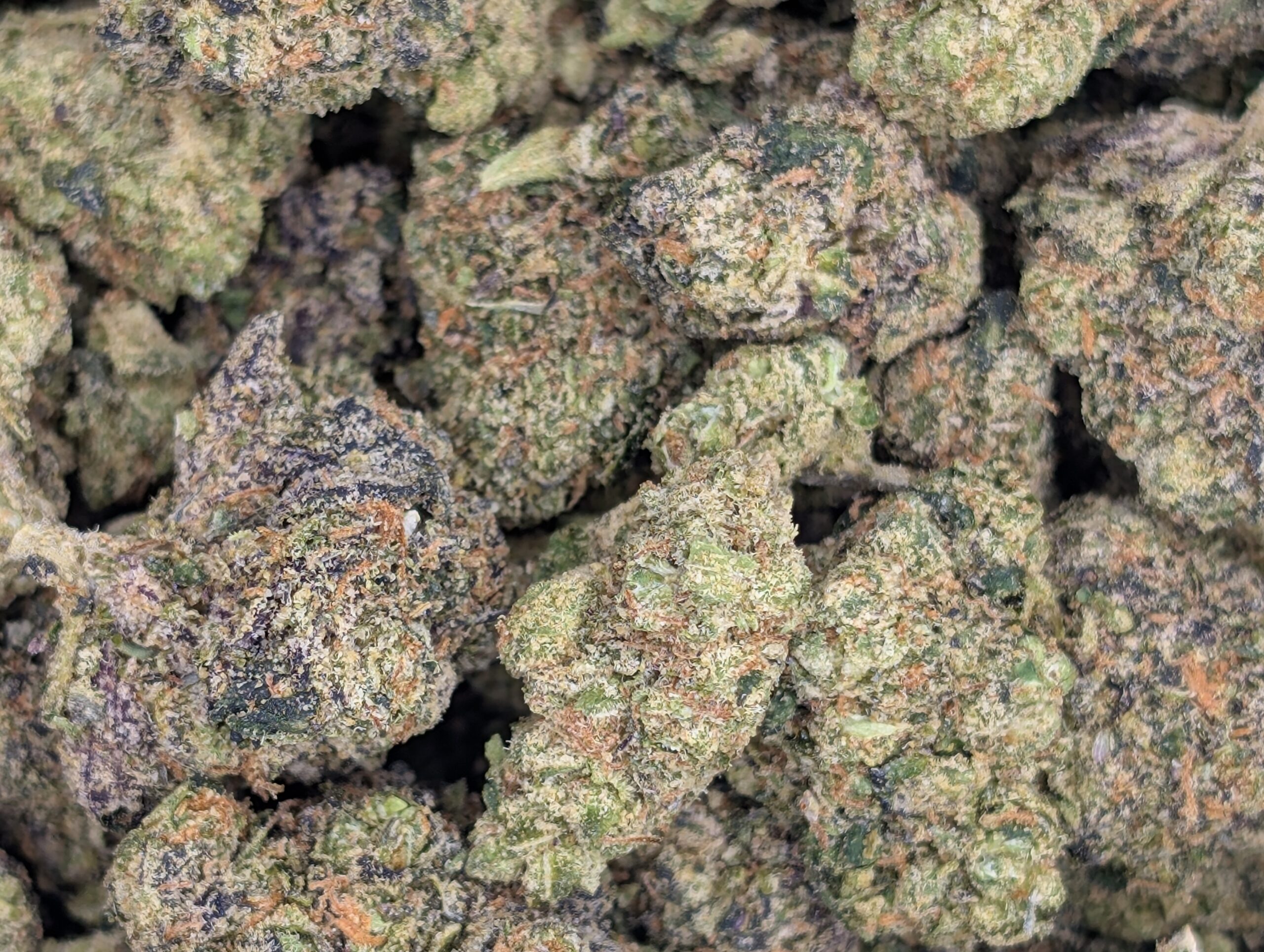 Aloha Sugar