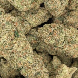 Garlic Diesel
