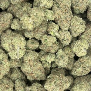 Jack Herer