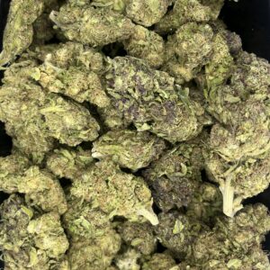 Blue City Diesel