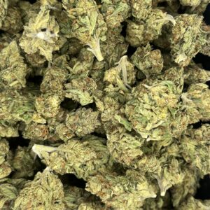 Gelato