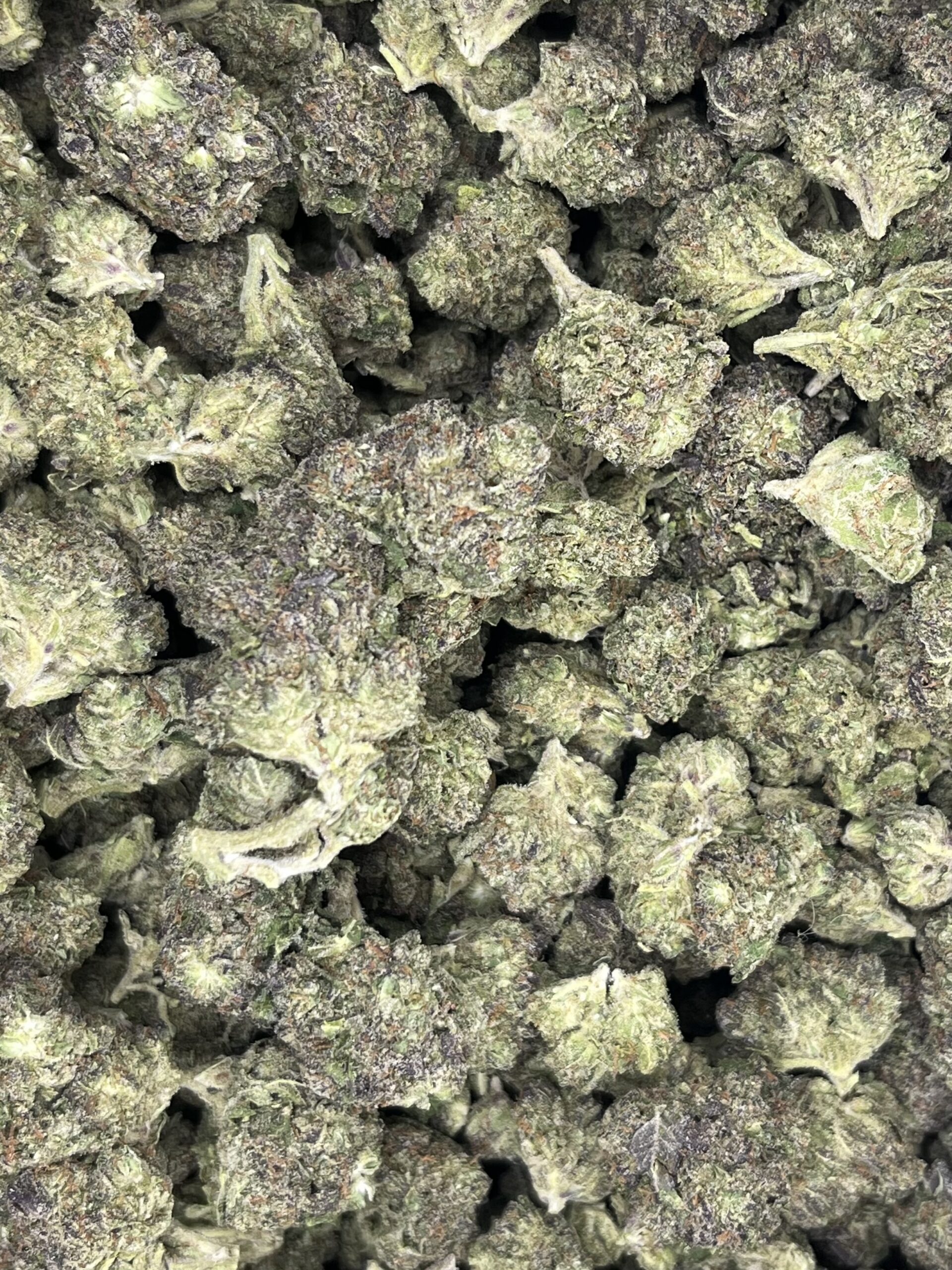 Purple Cream