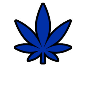 Blue $180