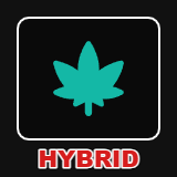 HYBRID