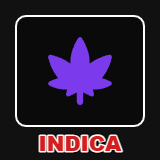 INDICA
