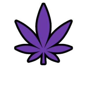 Purple $200