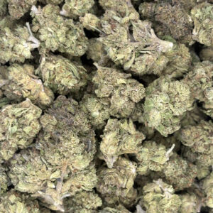 GELATO RUNTZ