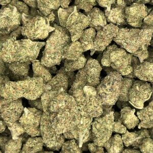 Mule Fuel