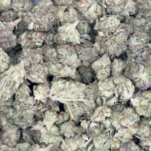Blitz flower buds
