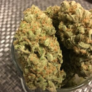Bubblegum flower buds