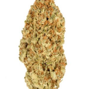 Hippie Crippler flower close-up